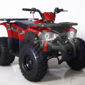 Gyerek quad 125cc Tao