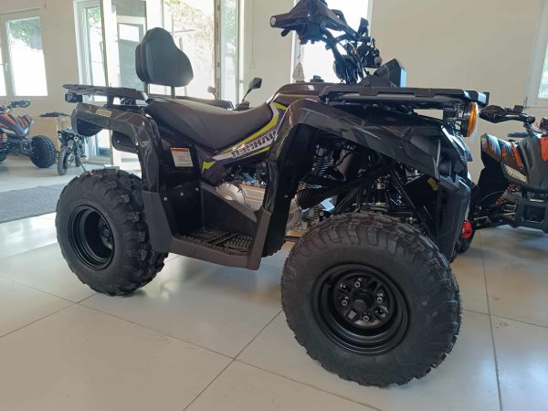 Mikilon Hammer 200 quad T3b