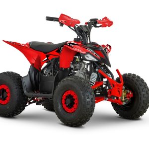 AU pentora 110cc automata gyerek quad