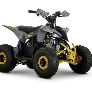AU pentora 110cc automata gyerek quad