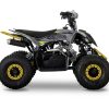 AU pentora 110cc automata gyerek quad